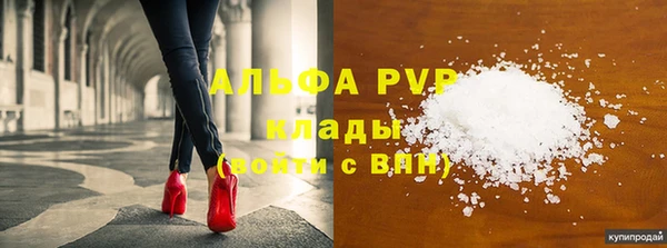 spice Беломорск