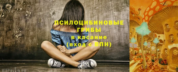 spice Беломорск