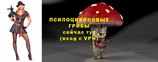 jwh Богородицк