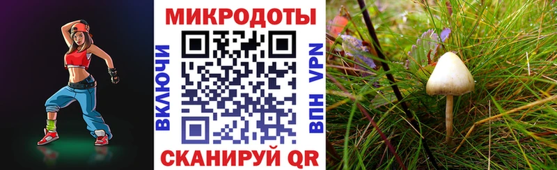 Псилоцибиновые грибы Magic Shrooms  ссылка на мегу ссылки  Крымск  где найти  